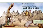 Pocket Eyewitness DK Dinosaurs Book
