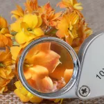 Field Magnifier with Case