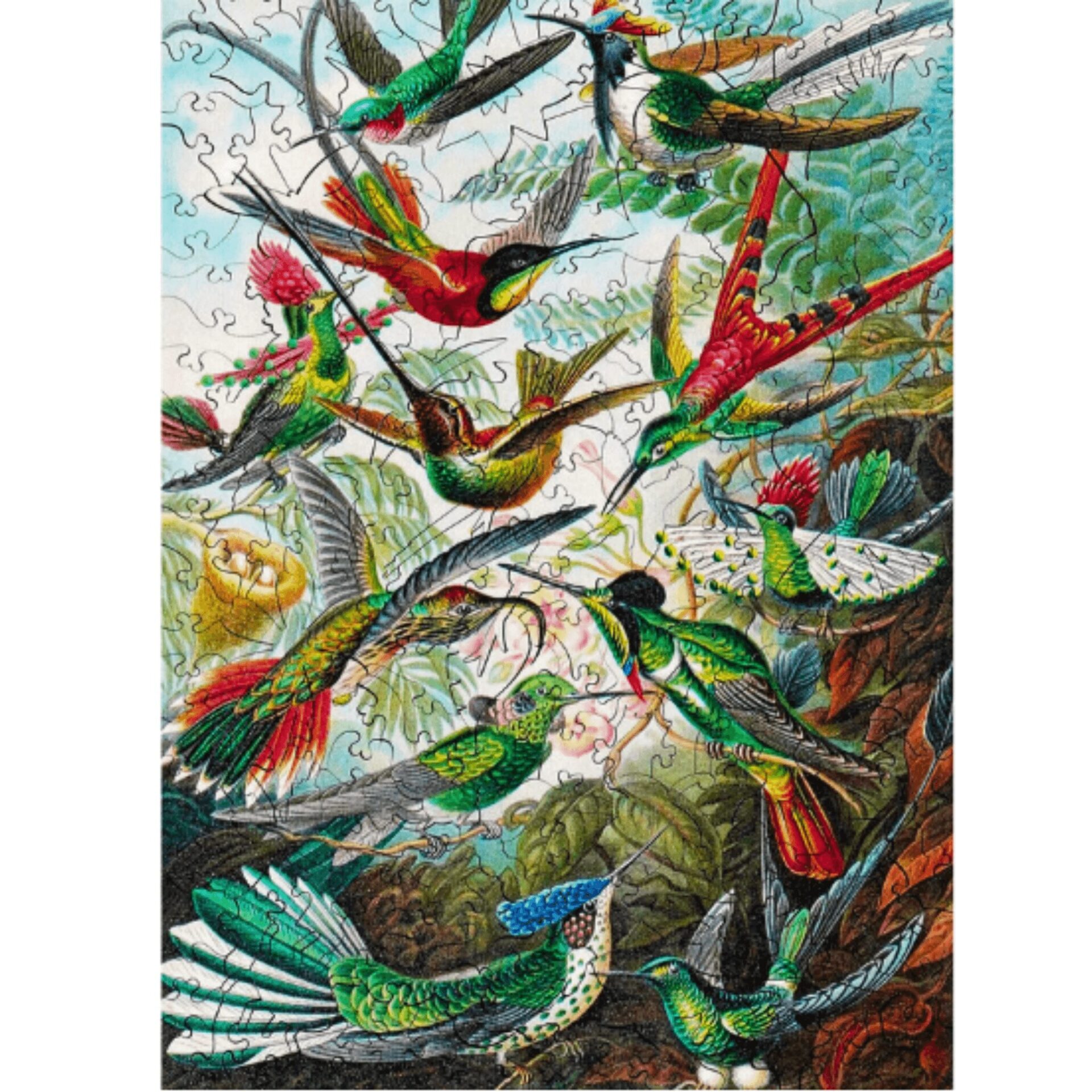 Twigg Puzzles Hummingbirds 228pc Wooden Puzzle