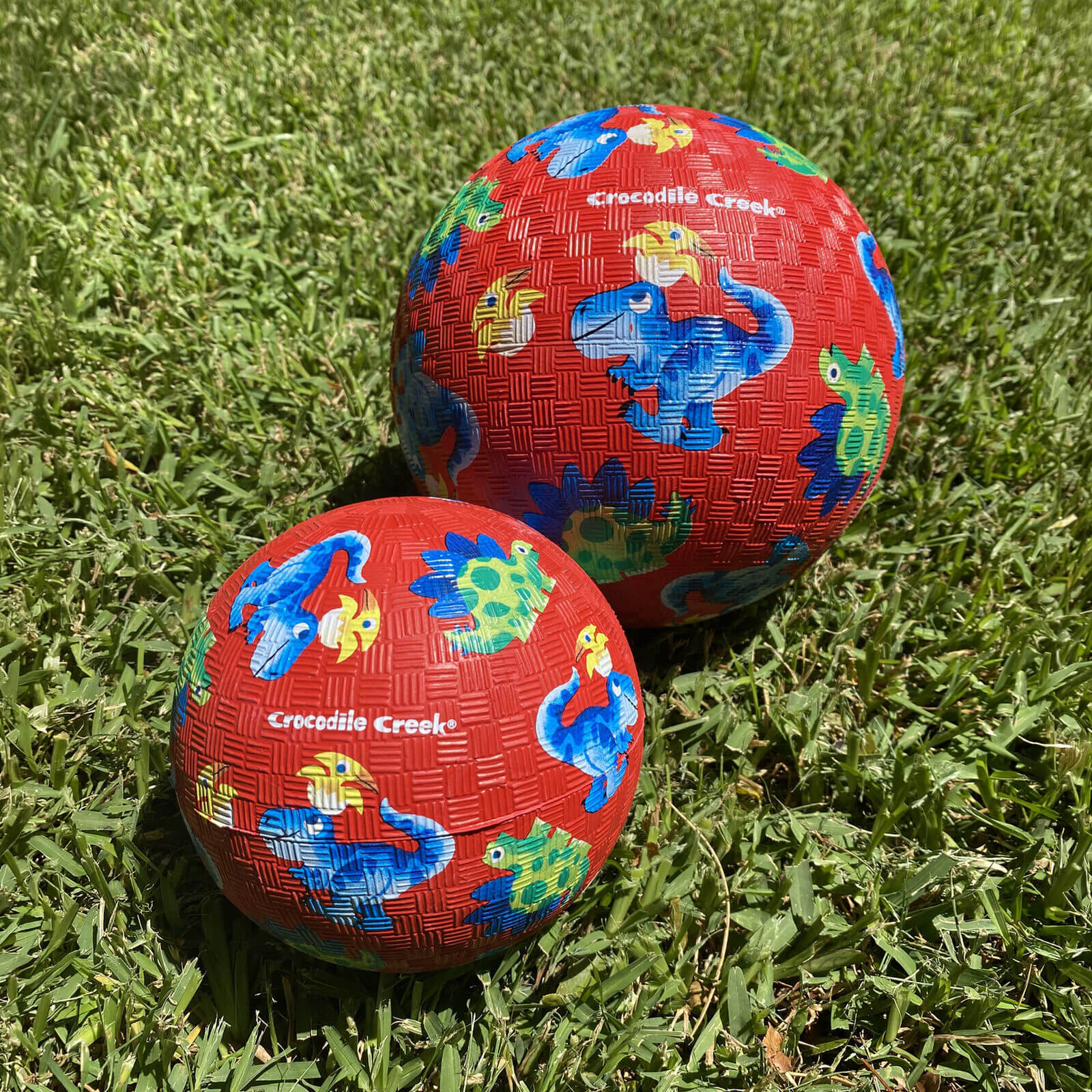 5 Inch Playground Ball - Dino Friends (Red)