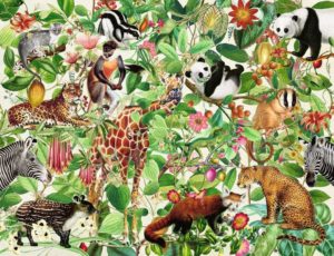 Ravensburger Jungle puzzle 2000pc