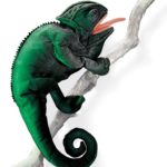 Folkmanis Chameleon Puppet