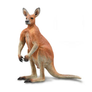 CollectA 88942 Red Kangaroo Male