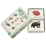 Memory Game Nature Trail