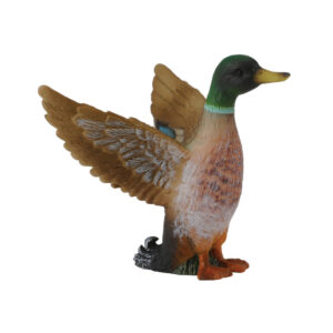 CollectA 88378 Mallard Duck Male (S)