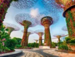 Ravensburger Garden by the Bay at Singapore Puzzle 1500pc
