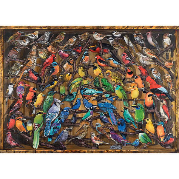 Ravensburger Rainbow of Birds 1000pc Puzzle