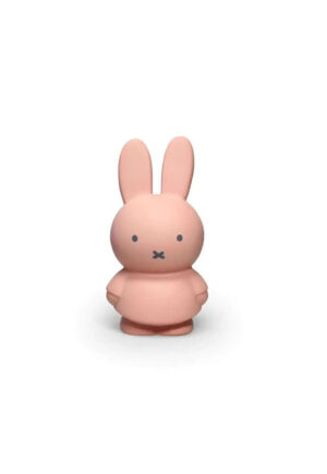 Miffy Money Box 13.5cm Powder