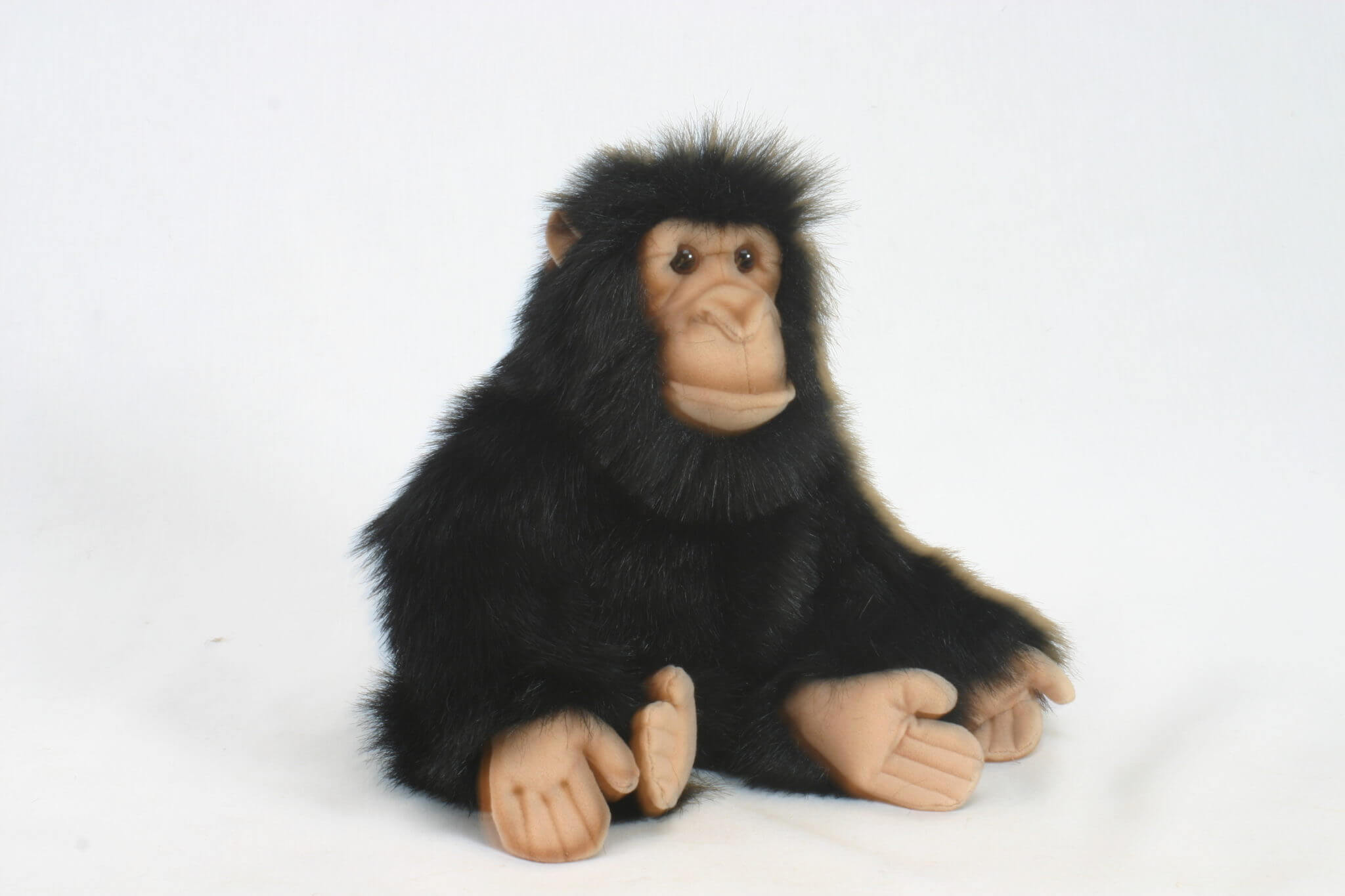 Hansa Chimp 25cm
