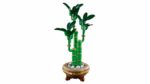 LEGO Botanicals 10344 Lucky Bamboo