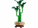 LEGO Botanicals 10344 Lucky Bamboo