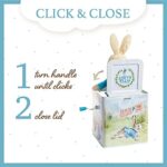 Peter Rabbit Jack In The Box