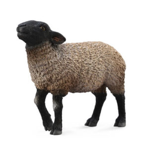 CollectA 88636 Suffolk Sheep