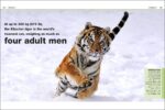 Animals Pocket Eye Witness Fact Book