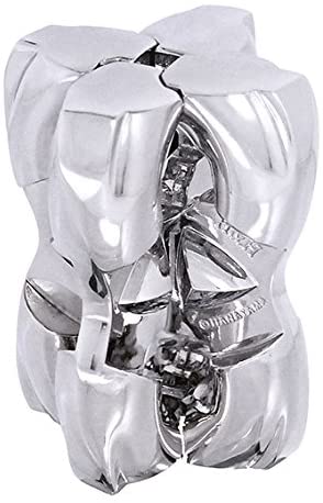 H&H Hanayama Cast Puzzle