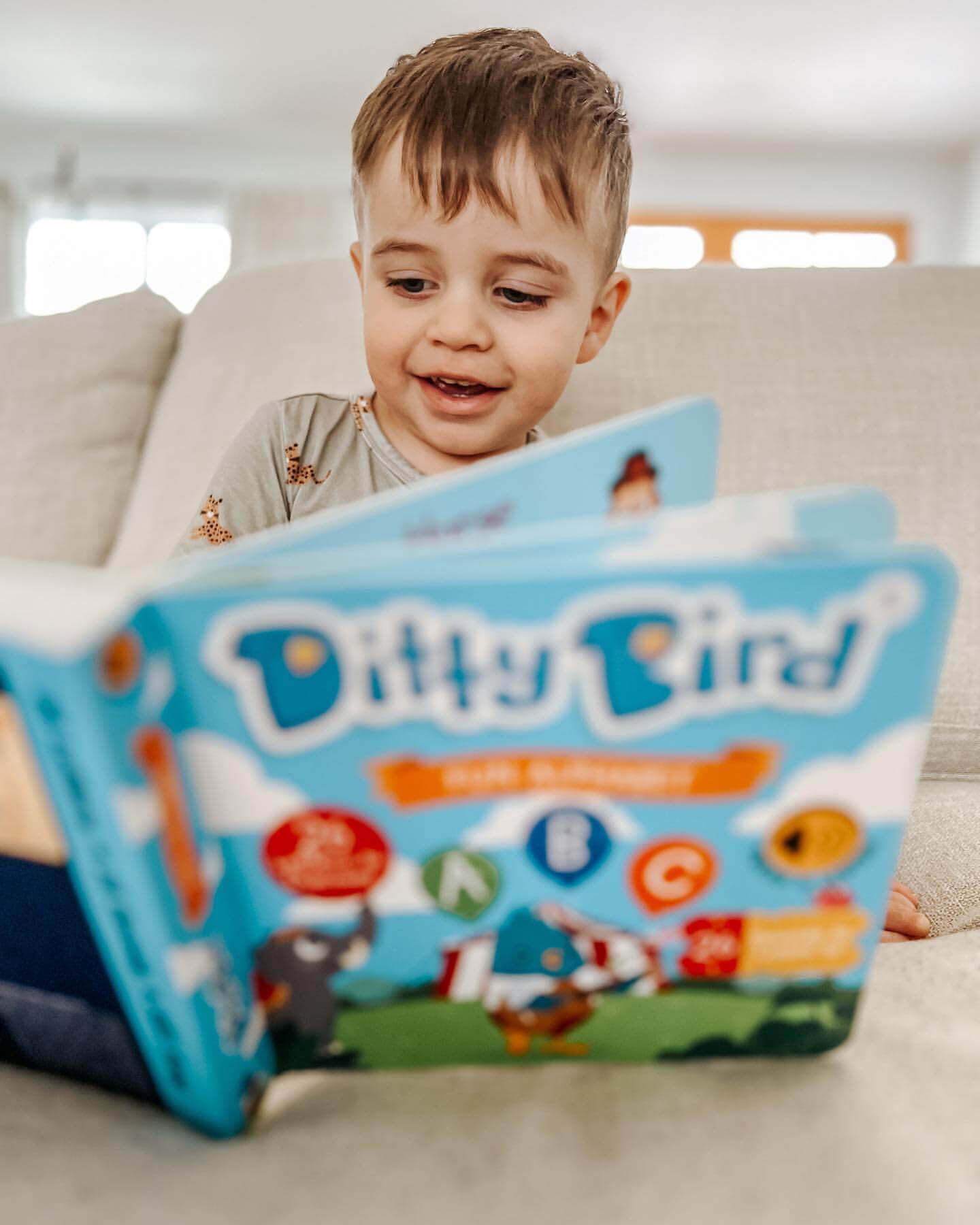 Ditty Bird Fun Alphabet Sound Book