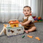 Noah's Ark Shape Sorter