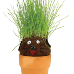 Pot Head Plant