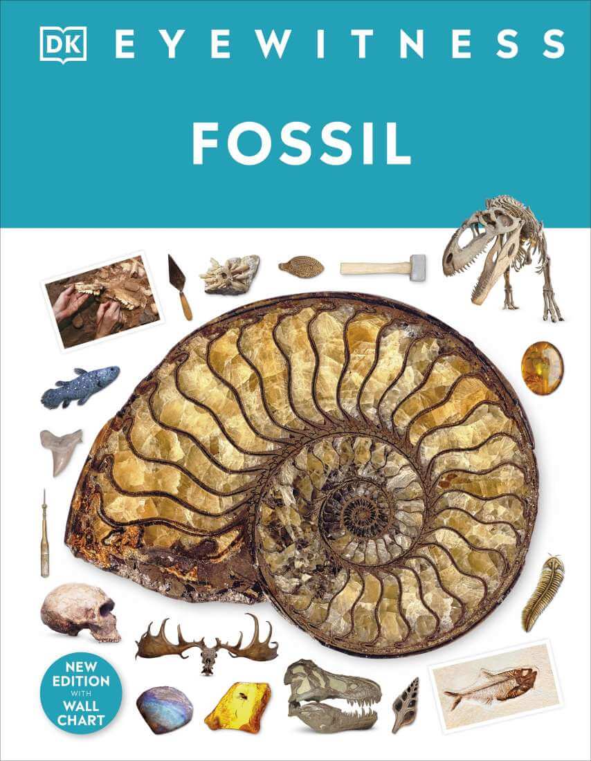 Eyewitness Fossil
