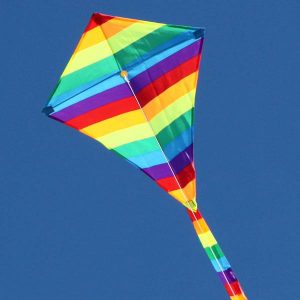 Ocean Breeze Rainbow Diamond Single String Kite