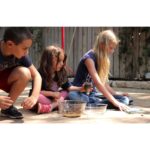 Einstein Science Lab-­Young Survivor