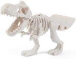 Kinetic Sand Dino Fossil Dig Case