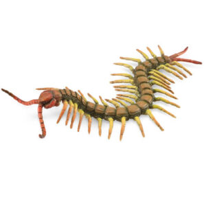 CollectA 88885 Centipede