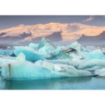 Ravensburger WT: Power of Nature Puzzle 1000pc