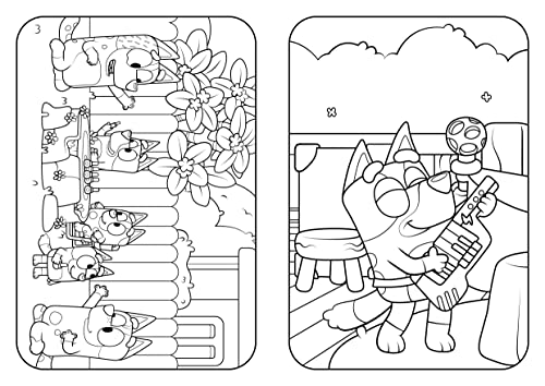 Bluey: Fun And Games Colouring Book