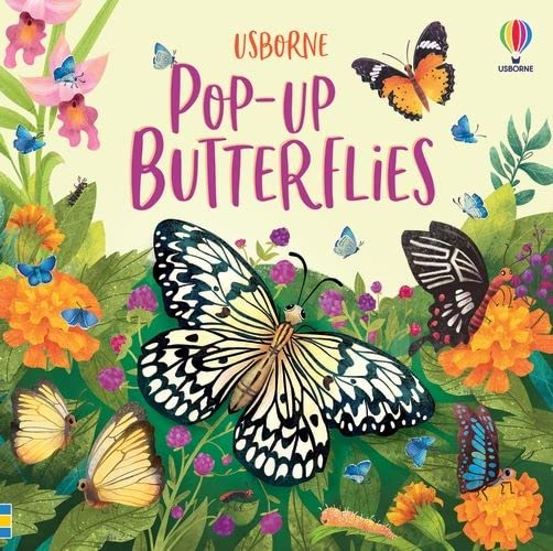 Usborne Butterflies PopUp Book Imagine If