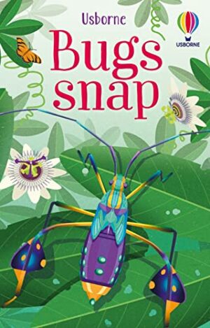 Usborne Bugs Snap Cards