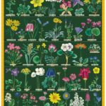 Cavallini Vintage Wildflower 2 Puzzle 1000c