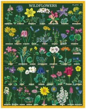 Cavallini Vintage Wildflower 2 Puzzle 1000c