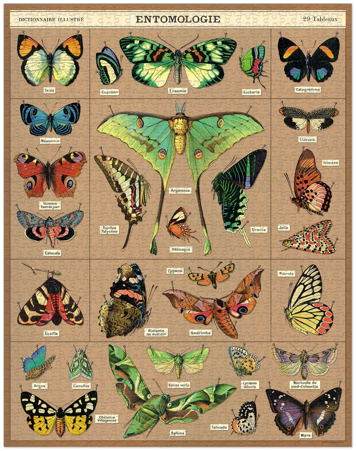 Cavallini Entomology Puzzle 1000pc Cavallini Entomology Puzzle 1000pc