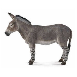 CollectA 88664 African Wild Ass