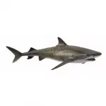 CollectA 88661 Tiger Shark