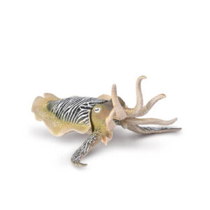CollectA 80009 Common Cuttlefish
