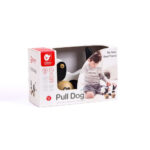Classic World Pull Along Dog