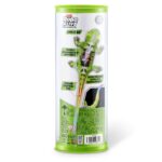 ZURU Robo Alive Chameleon Light-Up S1 Asst
