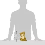 Hansa Brown Lion Cub 17cm