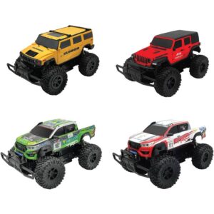 Rusco 1:16 R/C Gear Shifting Car Asst