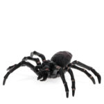 Rex London Realistic Tarantula