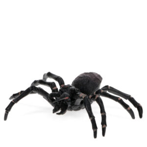 Rex London Realistic Tarantula