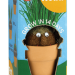 Pot Head Plant