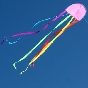 Windspeed Kites Jellyfish Kite