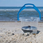 Dantoy Transparent Bucket