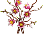 LEGO Botanicals 11510 Magnolia Branches