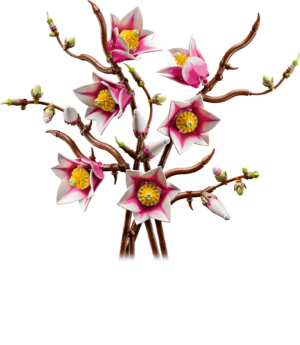 LEGO Botanicals 11510 Magnolia Branches