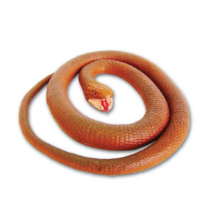 Copperhead Snake