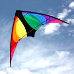Stinger Trick Dual Control Kite